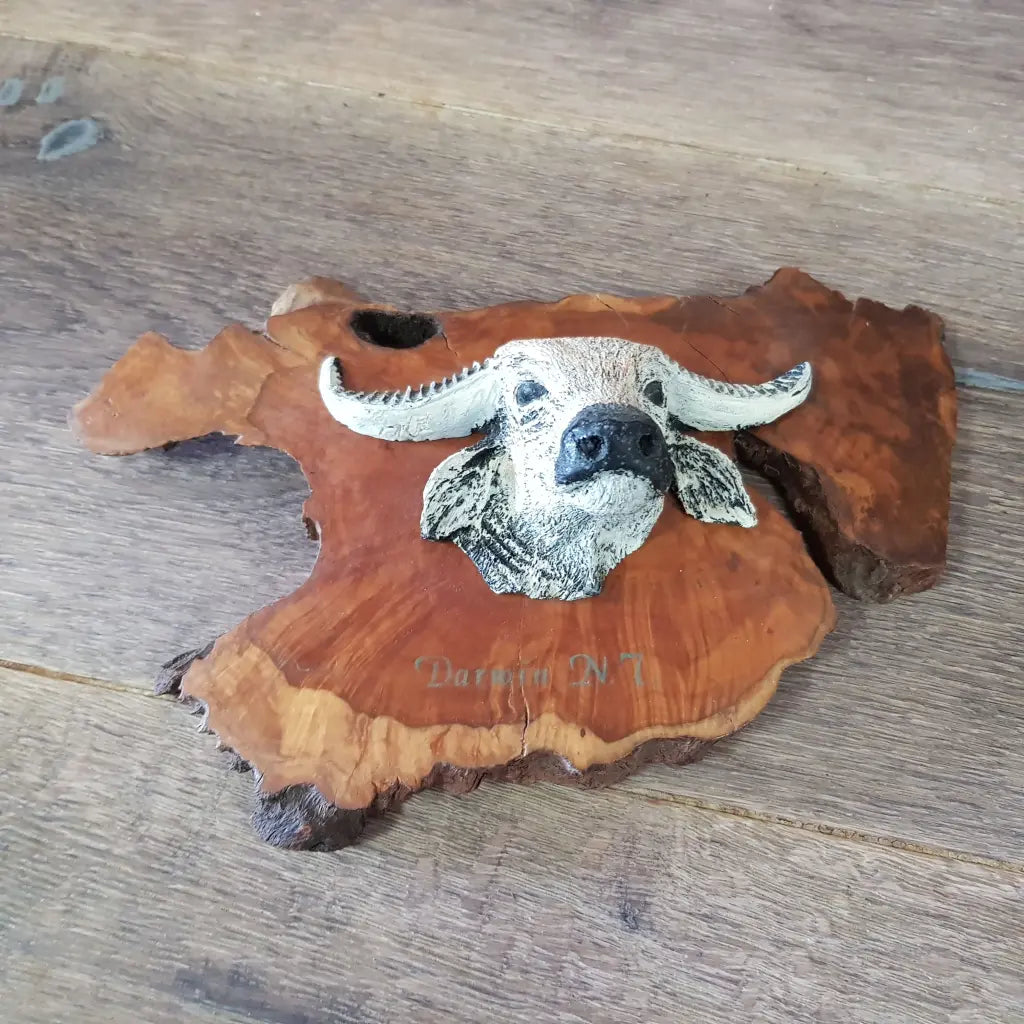 Vintage Mallee Tree Souvenir NT Australia Close
