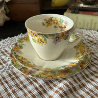 Royal Doulton Nasturtium D6245 Tea Cup Trio 1930s